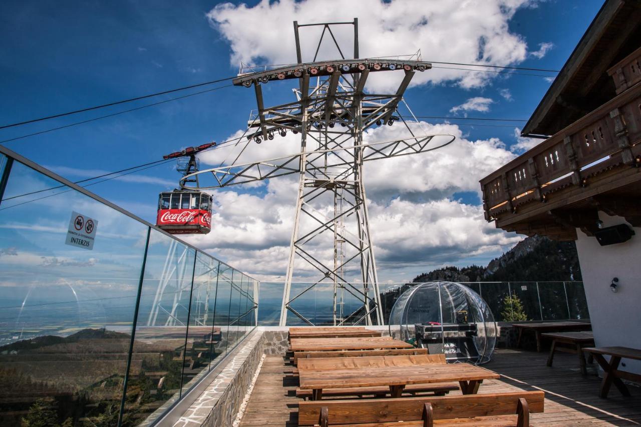 Yager Chalet Otel Poiana Braşov Dış mekan fotoğraf