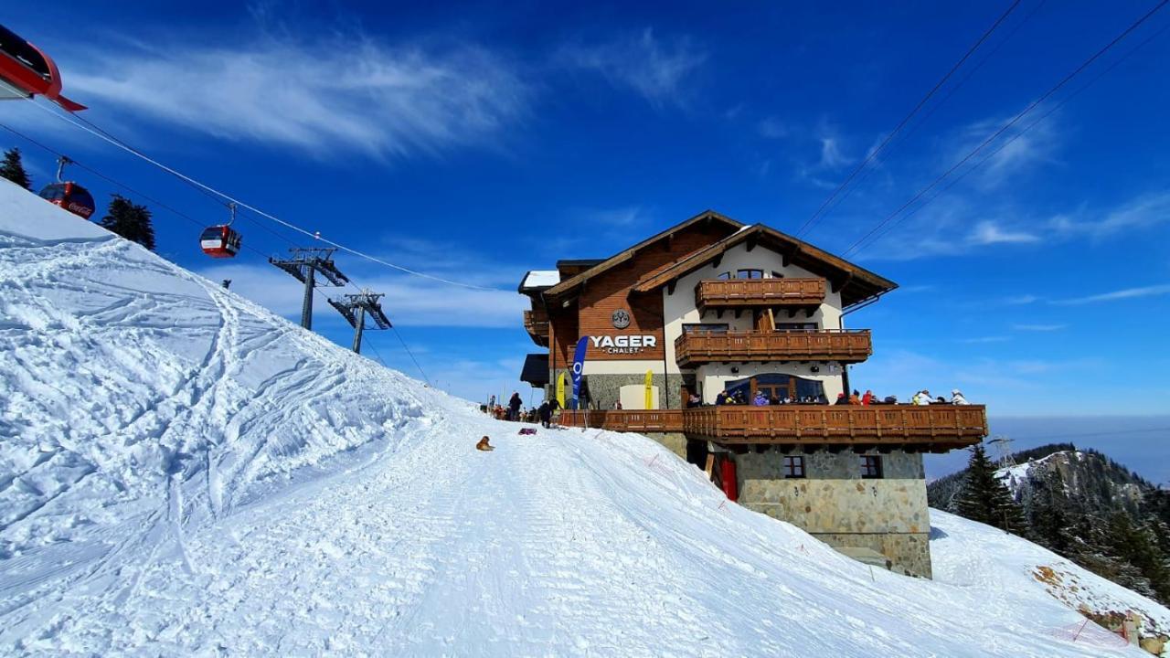 Yager Chalet Otel Poiana Braşov Dış mekan fotoğraf