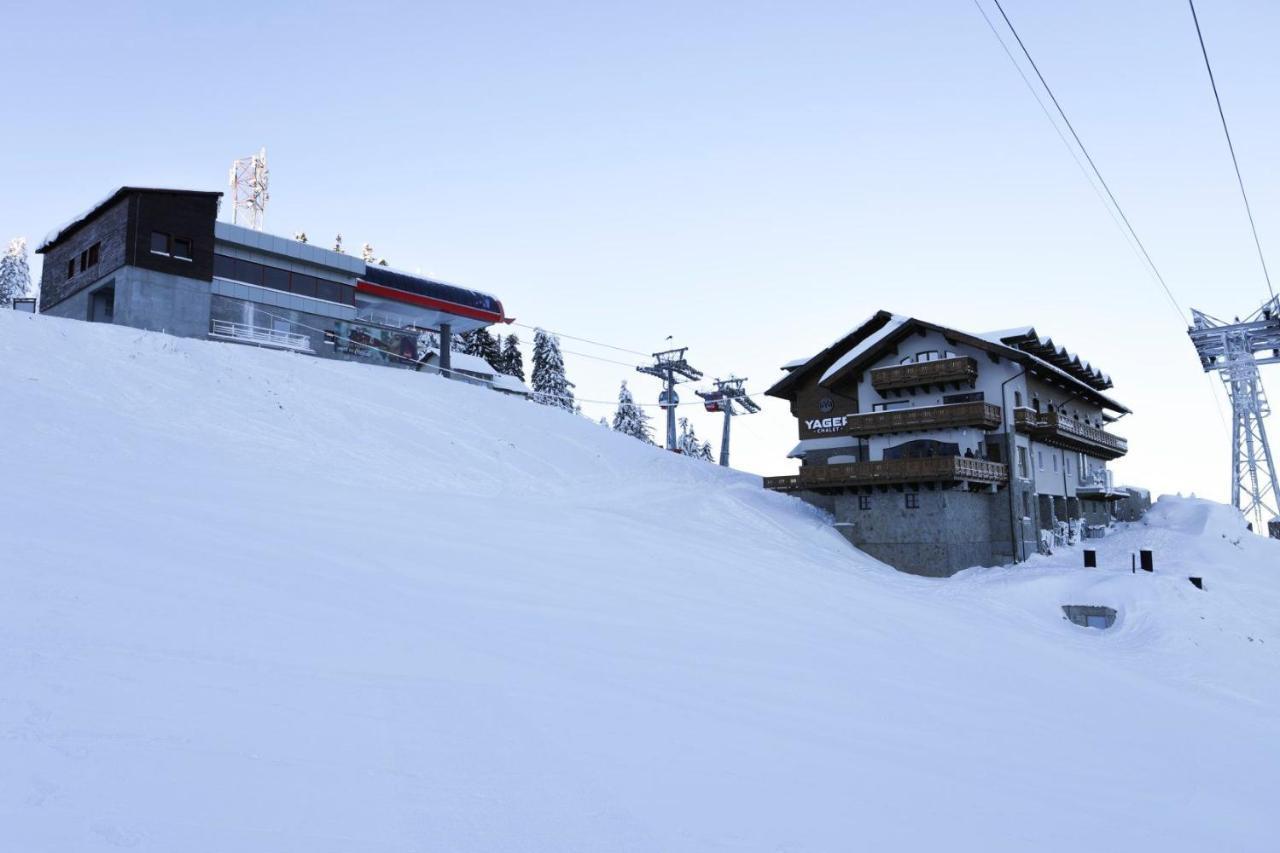 Yager Chalet Otel Poiana Braşov Dış mekan fotoğraf