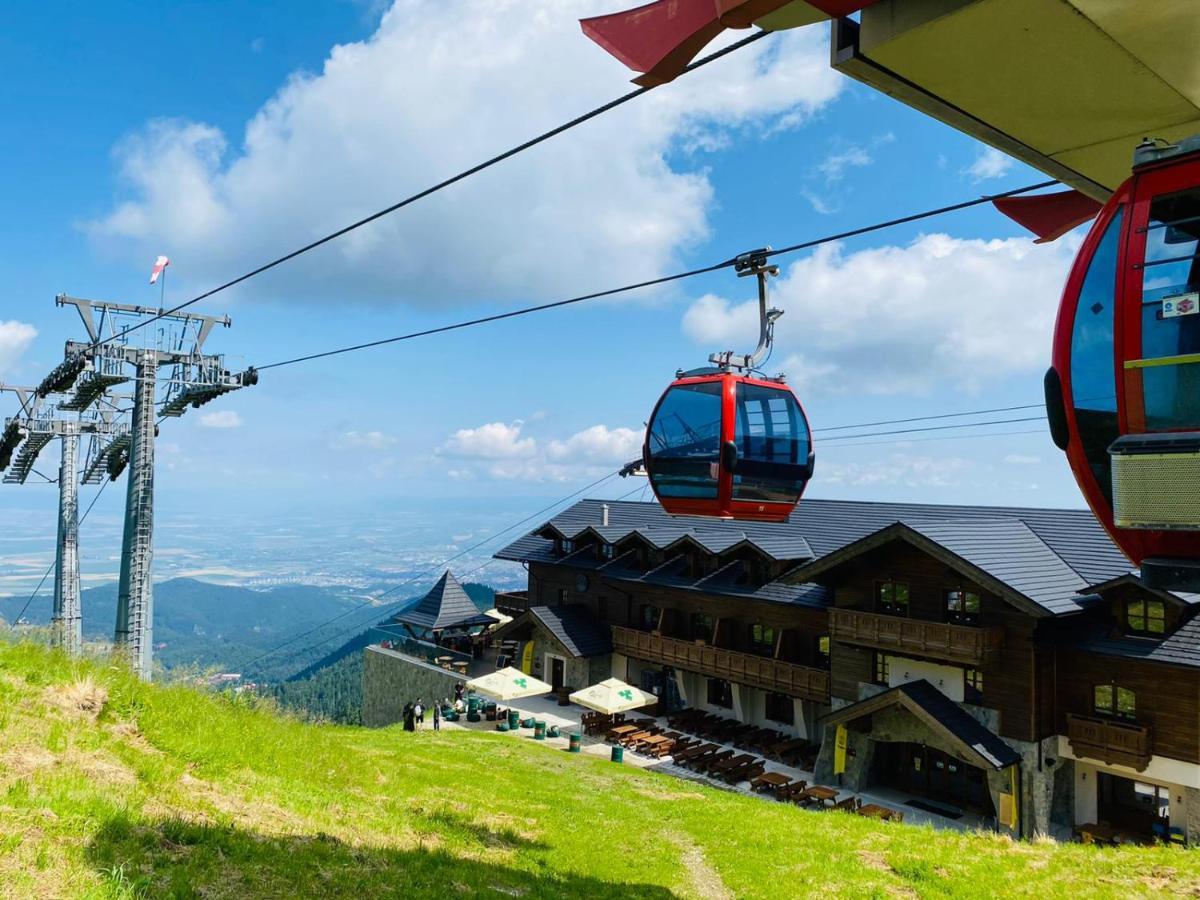 Yager Chalet Otel Poiana Braşov Dış mekan fotoğraf