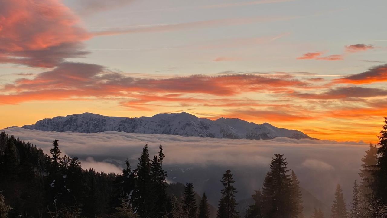 Yager Chalet Otel Poiana Braşov Dış mekan fotoğraf