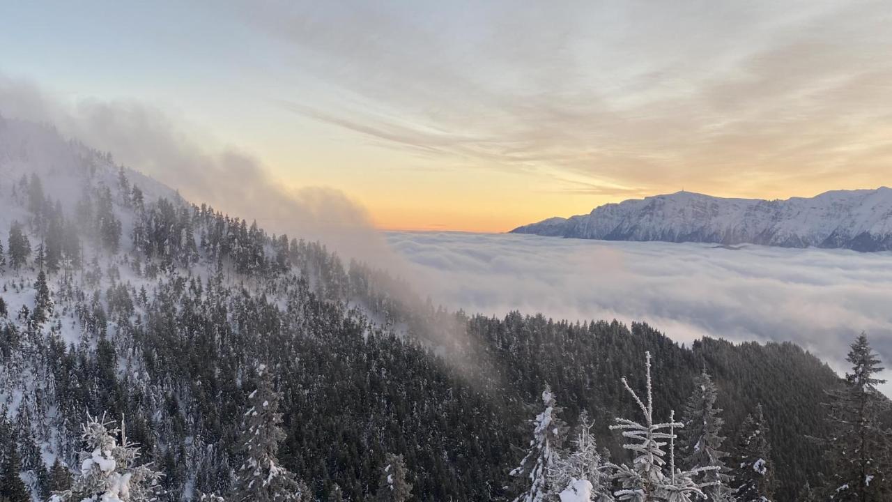 Yager Chalet Otel Poiana Braşov Dış mekan fotoğraf